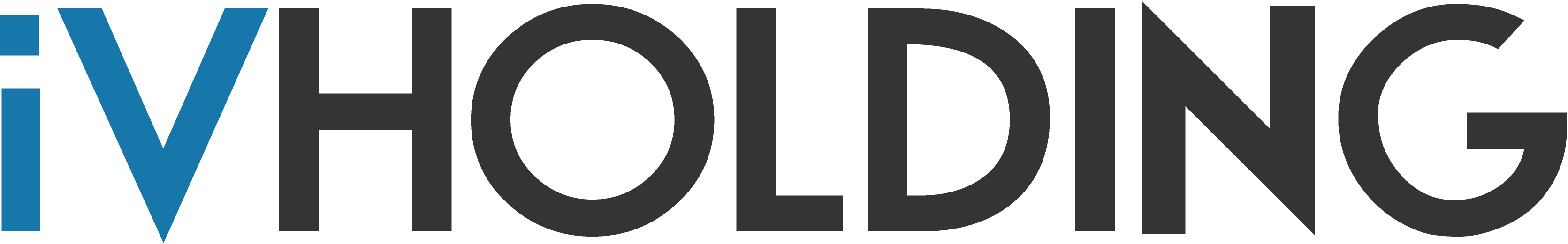 iVHOLDING Logo